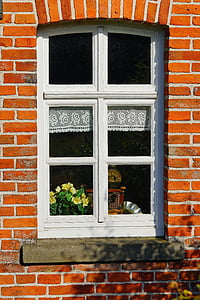 ikkuna, talon seinään, julkisivu, vanha talo, runko, fehnhaus, East frisia