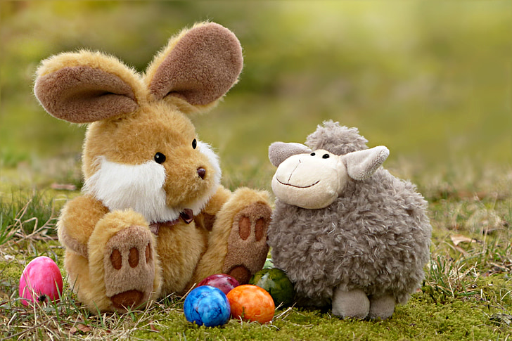 easter, easter bunny, easter eggs, lamb, still life, grass, teddy Bear