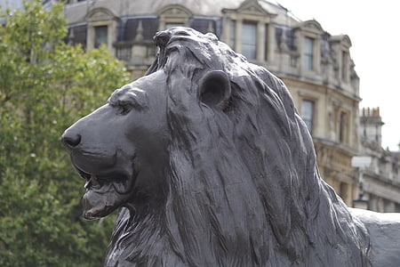 Alun-alun Trafalgar, singa, patung, London, Inggris