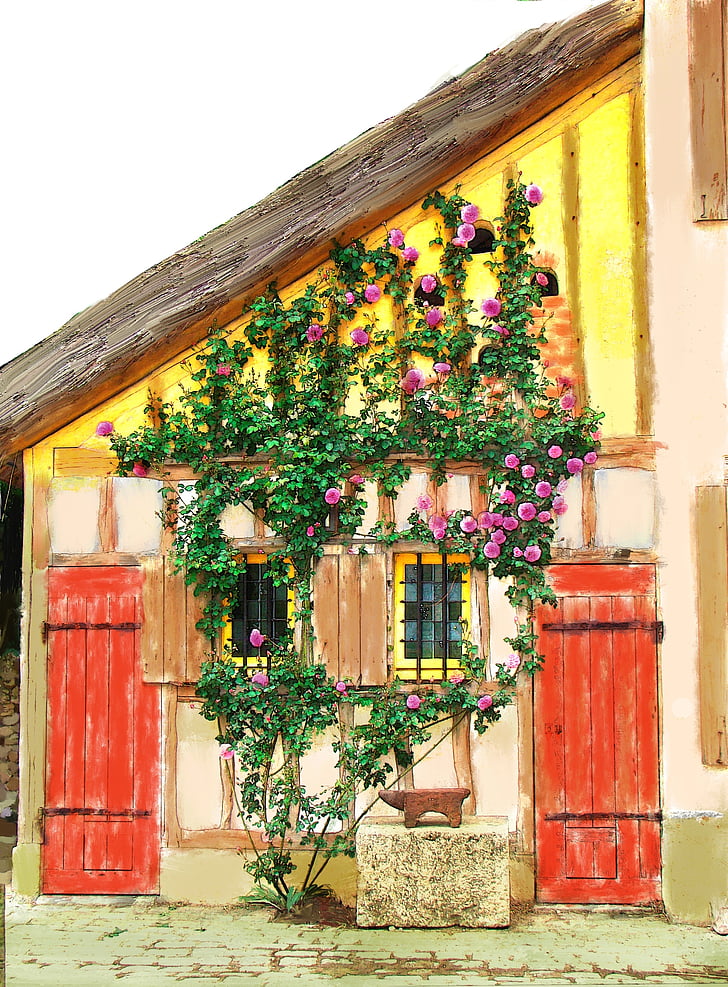 hiša, vinsko trto, vrtnice, Francija