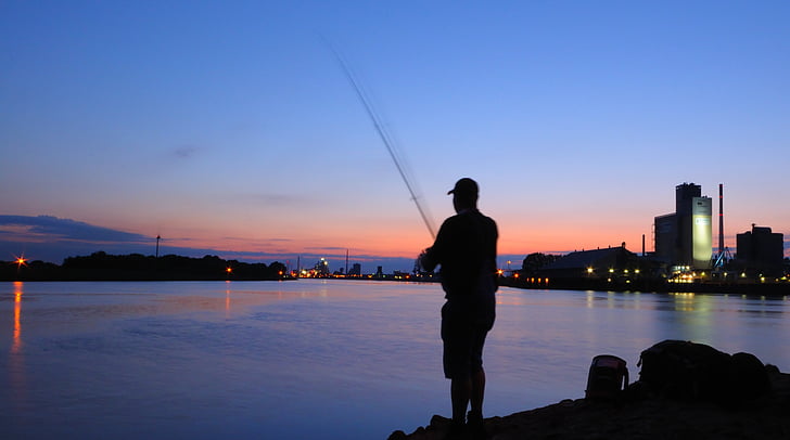 fish, angler, sunset, water, fishing, fishing rod, catch fish