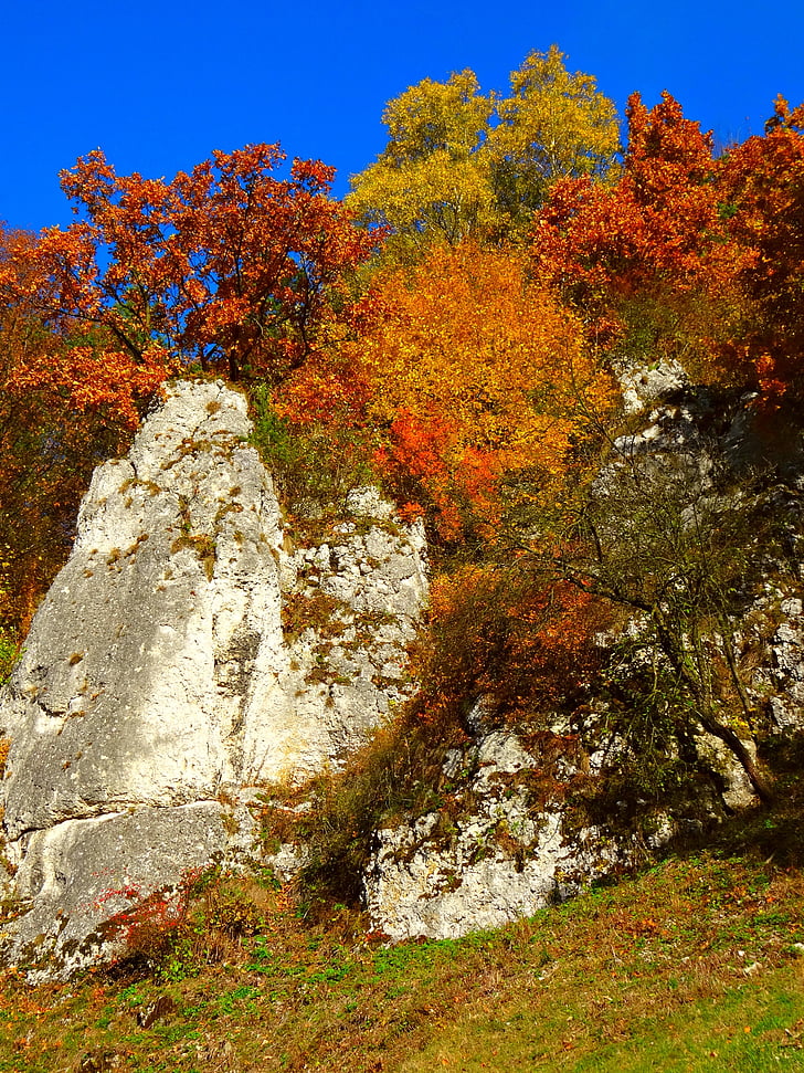 de founding fathers, Polen, natuur, landschap, het nationaal park, herfst, rotsen