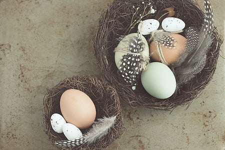 two, basket, egss, easter, feather, egg, easter egg