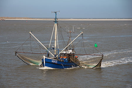 Krevety, rybářský člun, fréza, rybářské plavidlo, Rybaření, loď, spuštění počítače