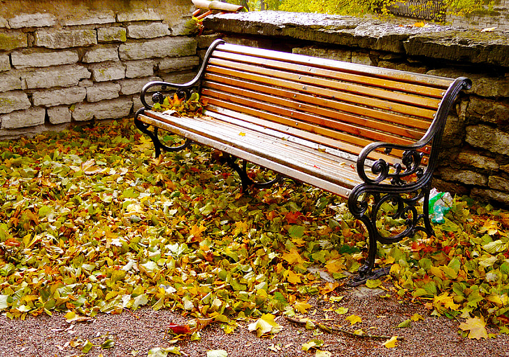 podzimní sezóna, podzim, parku, staré město, podzimní park, Tallinn, Estonsko