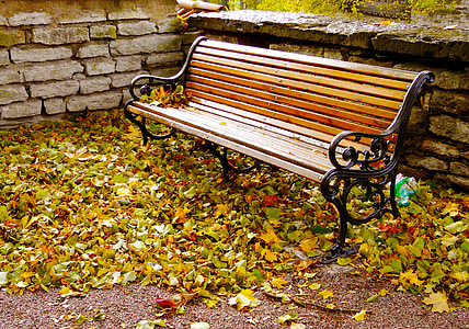 stagione autunnale, autunno, Parco, centro storico, sosta di autunno, Tallinn, Estonia
