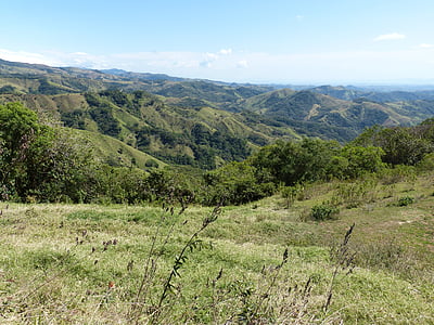 пейзаж, Коста-Рика, Центральная Америка, Природа, дерево, тропический, перспективы
