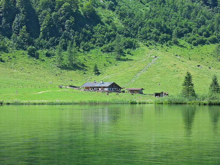 alm hut, farm, agriculture, management, mountain, lake, forest