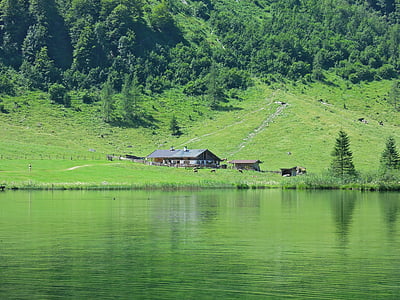 Alm hut, Farm, landbrug, Management, Mountain, søen, skov
