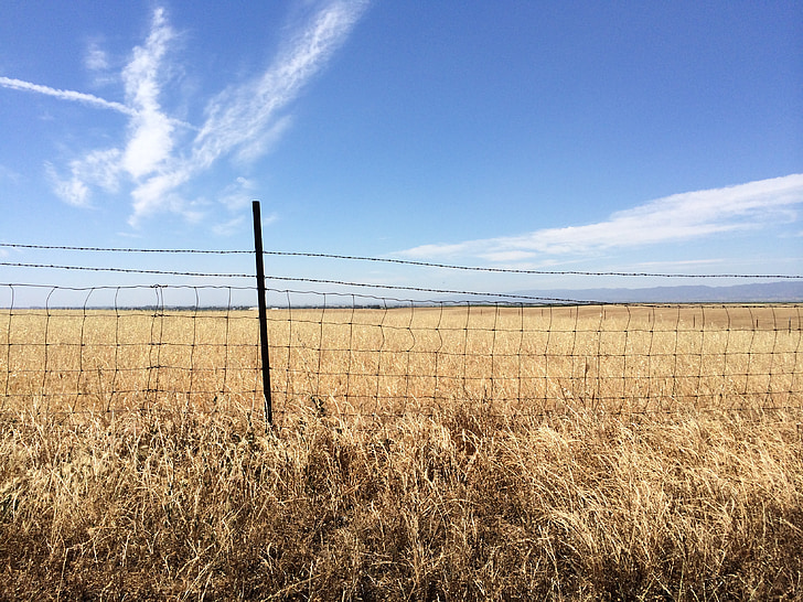 pagar, pemandangan, bidang, padang rumput, biru, langit, Kolam