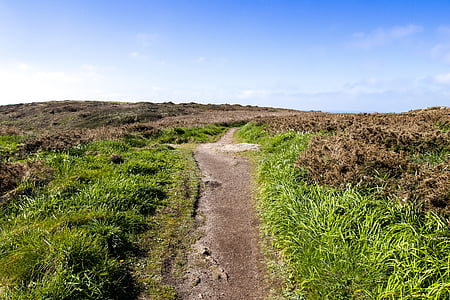 paesaggio, Cornwall, distanza, natura