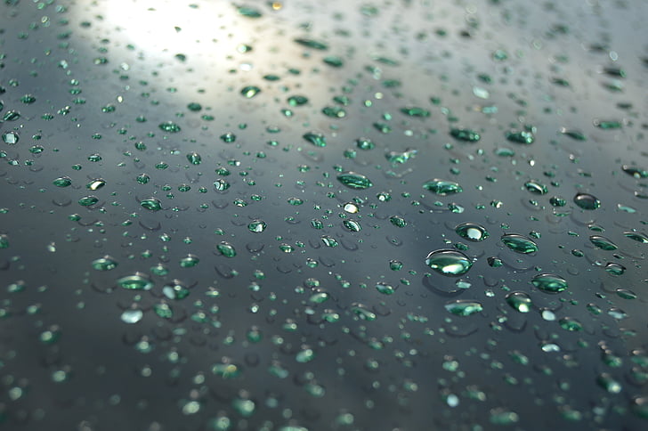 gotes, pluja, gotes de pluja, l'aigua, gota de pluja, gotes d'aigua, una gota de