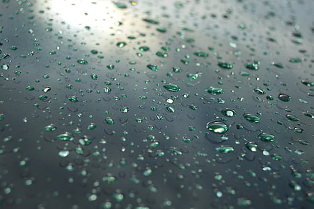 kapljice, dež, kapljice dežja, vode, kaplja dežja, kapljice vode, kapljico