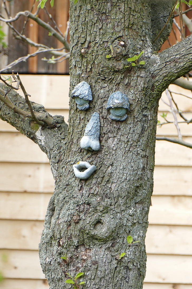 дърво, лицето, Смешно, дърво лицето, горски дух, природата, дървен материал