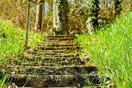 schody, kamienne schody, zbicie kamień, wzrost, lasu, Schodki, stary