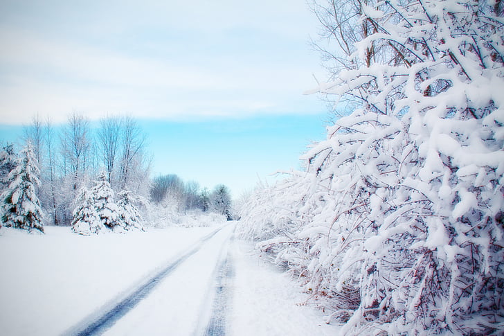 Road, Snedækket vej, vinter, sne, land, Street
