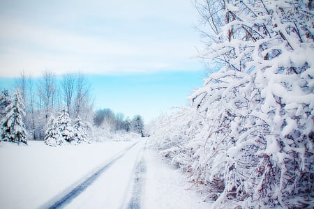 weg, besneeuwde weg, winter, sneeuw, land, Straat