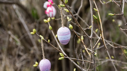 Húsvét, dekoráció, tojás, Bush, fa, kert, szín