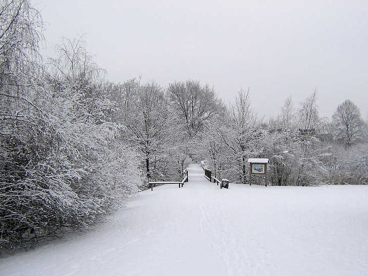 Zima, snijeg, studen, hladno, krajolik, zimska čarolija, priroda