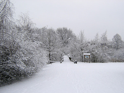 invierno, nieve, invernal, frío, paisaje, magia de invierno, naturaleza