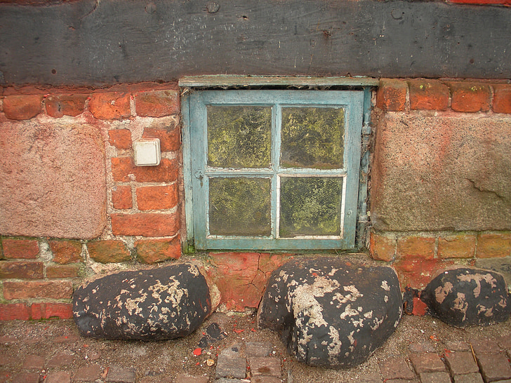 casa antiga de comerciants, detall, finestra de soterrani, blau, usats, algues, finestra