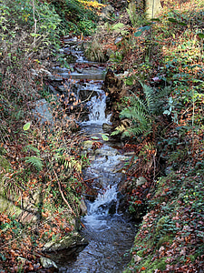 Thuringian skogen, Bach, grov sten, Thüringen Tyskland, landskap, humör, hösten
