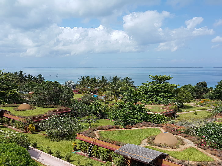 Tuin, palmbomen, Zanzibar, hemel, tropische