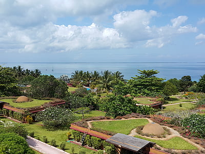 jardim, palmeiras, Zanzibar, céu, tropical