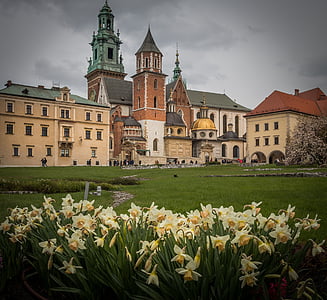 Krakkó, Wawel, Castle, krakowský kastély, a nárcisztikus, virág, történelem