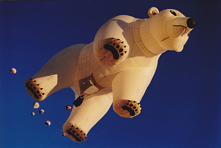 hot air balloon, balloon, albuquerque, bear, blue, sky