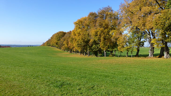 Allgäu, jesień, pozostawia, drzewa, kolorowe, Natura, drzewo