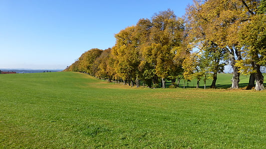 Allgäu, jesen, lišće, stabla, šarene, priroda, drvo