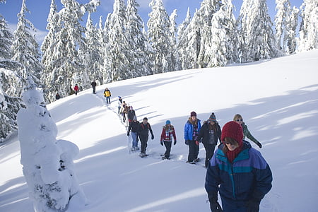snowshoe walk, tourists, snow, winter, outdoors, trekking, lifestyle