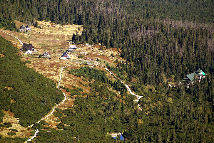 Gasienicowa Valle, Tatry, il Parco nazionale, pino di montagna, albero, autunno, natura