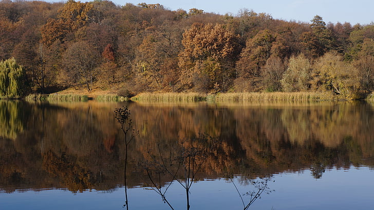 hösten, sjön, naturen, slät yta, träd, skogen, reflektion