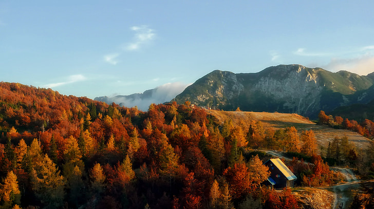 Словения, Есен, Есен, зеленина, цветове, цветни, планини