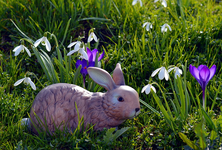 토끼, 부활절 토끼, 부활절, 귀여운, 잔디, 그림, 인사말 카드