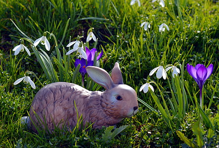 Hare, påske bunny, påske, Nuttet, græs, figur, lykønskningskort