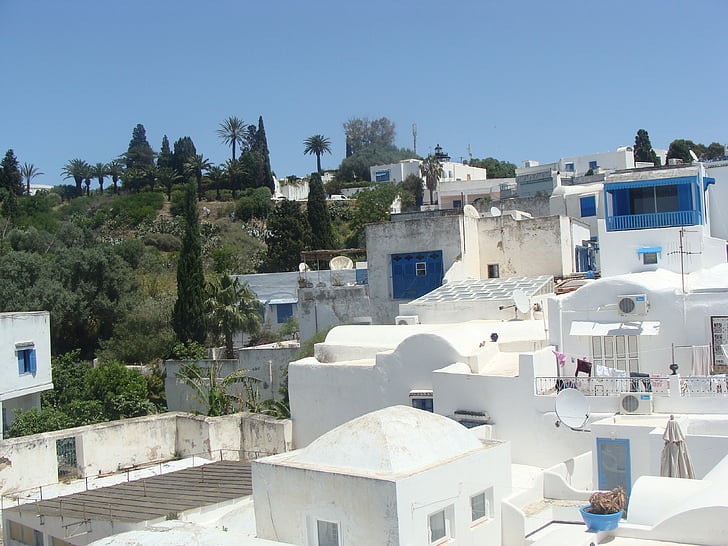 àrab, cases, blau, blanc, Tunis, espectacular