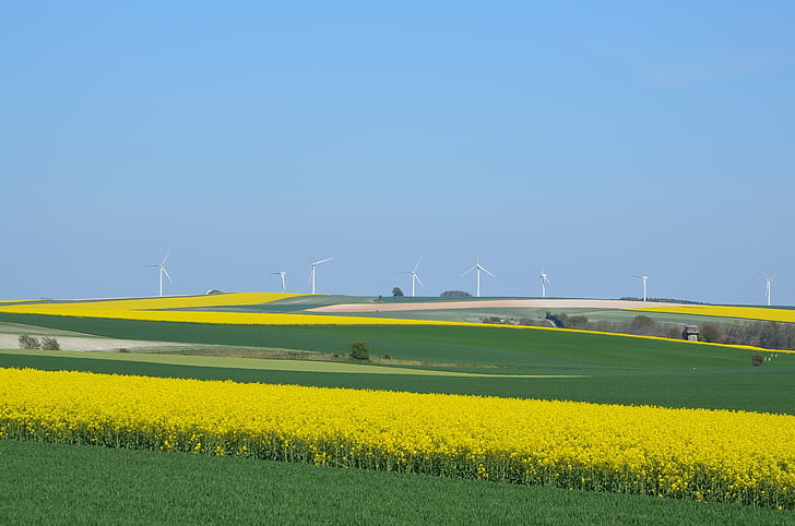větrné turbíny, barvy, modrá, pláně, Řepka, zemědělství, pole