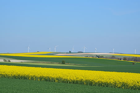 wind turbines, colors, blue, plains, oilseed Rape, agriculture, field