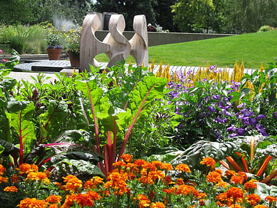 Sân vườn, Colorado, thực vật, Hoa, công viên, Thiên nhiên, Rock