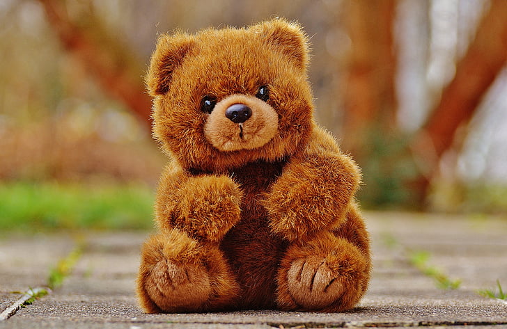 beruang, Teddy, mainan lunak, boneka binatang, boneka beruang, beruang cokelat, anak-anak
