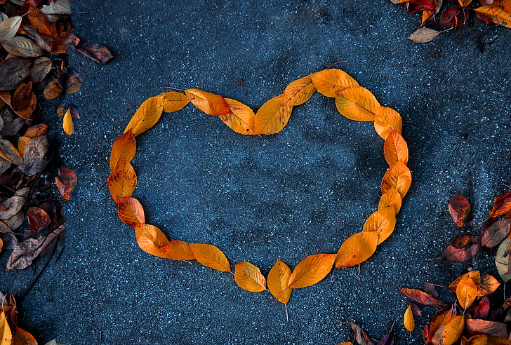 coeur, feuillage, orange, automne, contraste
