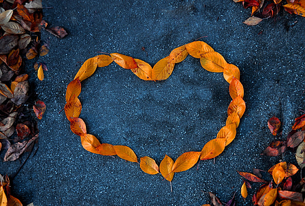 hjerte, løv, orange, efterår, kontrast