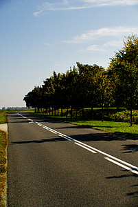 Straße, Landschaft, Baum, Panorama, Natur