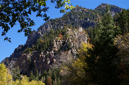 Wasatch, vuoret, Utah, Luonto, puut, kivinen, luonnonkaunis
