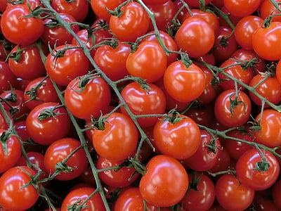 tomates, légumes, rouge, alimentaire, manger, brousse tomate