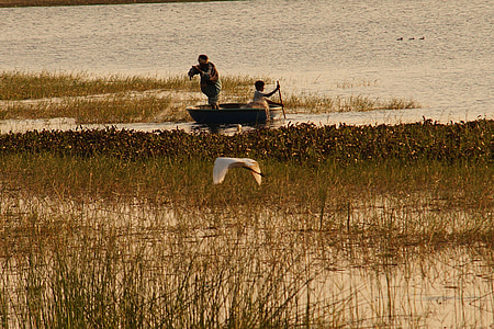 fishermen, lake, bird, fishing, boat, net