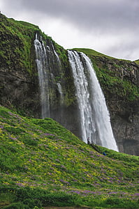 водопад, Пролет, зелена трева, жълто, цветя, буря, мътен